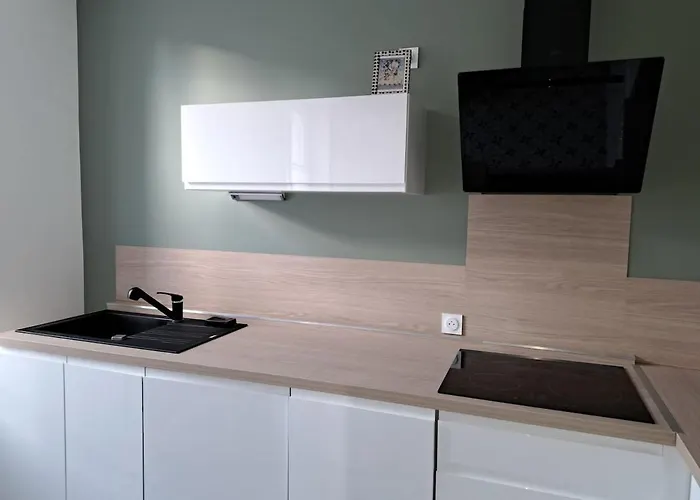 Art Nouveau & Thermal - F2 Paisible De Qualite Apartment