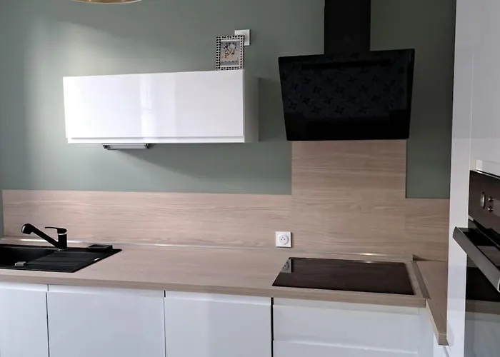 Apartment Art Nouveau & Thermal - F2 Paisible De Qualite *